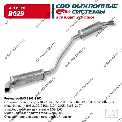 R029